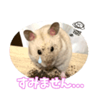 ふくはるbabies（個別スタンプ：5）