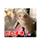 ふくはるbabies（個別スタンプ：6）