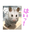 ふくはるbabies（個別スタンプ：7）