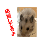 ふくはるbabies（個別スタンプ：8）