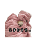 ルアとモモ（個別スタンプ：7）