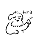 犬とハム（日常ver.）（個別スタンプ：8）