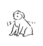 犬とハム（日常ver.）（個別スタンプ：9）