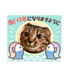 カイムギチロルのスタンプ（個別スタンプ：24）