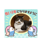 ねこちゃん正月の挨拶（個別スタンプ：3）