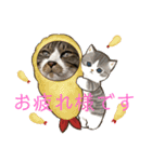 ねこちゃん正月の挨拶（個別スタンプ：6）