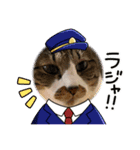 ねこちゃん正月の挨拶（個別スタンプ：7）