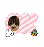 ねこちゃん正月の挨拶（個別スタンプ：8）