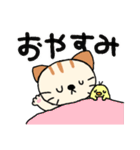 ねこスタらよ〜№2だにゃ〜ん！（個別スタンプ：3）