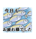 可愛い魚に毎日会える（個別スタンプ：8）