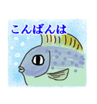 可愛い魚に毎日会える（個別スタンプ：10）