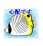 可愛い魚に毎日会える（個別スタンプ：26）