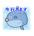 可愛い魚に毎日会える（個別スタンプ：37）