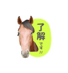 シェリたんと愉快な仲間たち（個別スタンプ：1）