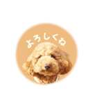 シェリたんと愉快な仲間たち（個別スタンプ：3）