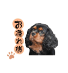シェリたんと愉快な仲間たち（個別スタンプ：4）