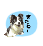 シェリたんと愉快な仲間たち（個別スタンプ：5）