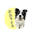 シェリたんと愉快な仲間たち（個別スタンプ：8）