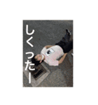 使える！FUKAWA（個別スタンプ：24）