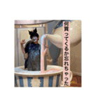 使える！FUKAWA（個別スタンプ：33）