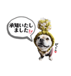 TENちゃんスタンプver2（個別スタンプ：3）