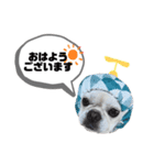 TENちゃんスタンプver2（個別スタンプ：7）