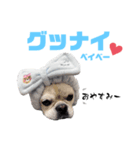 TENちゃんスタンプver2（個別スタンプ：8）