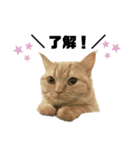 使えるスタンプkh（個別スタンプ：1）
