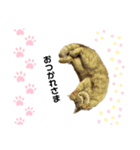 使えるスタンプkh（個別スタンプ：2）