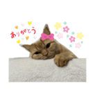 使えるスタンプkh（個別スタンプ：3）