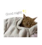 使えるスタンプkh（個別スタンプ：4）