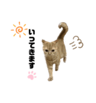 使えるスタンプkh（個別スタンプ：5）