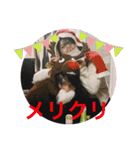 しゅん（冬version）（個別スタンプ：12）