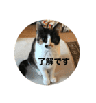 k.n オリジナル 10（個別スタンプ：1）