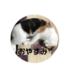 k.n オリジナル 10（個別スタンプ：4）