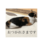 k.n オリジナル 10（個別スタンプ：6）