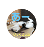k.n オリジナル 10（個別スタンプ：9）