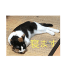 k.n オリジナル 10（個別スタンプ：10）