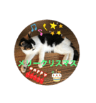 k.n オリジナル 10（個別スタンプ：11）