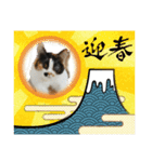 k.n オリジナル 10（個別スタンプ：16）
