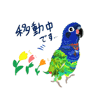 花と鳥さん その1（個別スタンプ：24）