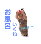 來茉8（個別スタンプ：2）