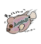 楽しい熱帯魚！（個別スタンプ：12）