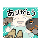 楽しい熱帯魚！（個別スタンプ：40）