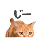 hknの日常3(文字あり )（個別スタンプ：1）