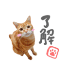 hknの日常3(文字あり )（個別スタンプ：4）