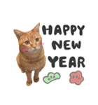 hknの日常3(文字あり )（個別スタンプ：6）