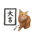hknの日常3(文字あり )（個別スタンプ：10）