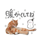 hknの日常3(文字あり )（個別スタンプ：11）