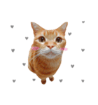 hknの日常3(文字あり )（個別スタンプ：14）